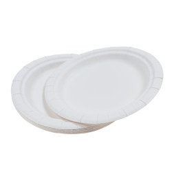 Farfurii rotunde din carton, nelaminate, albe, D 17 cm, set 10 bucati