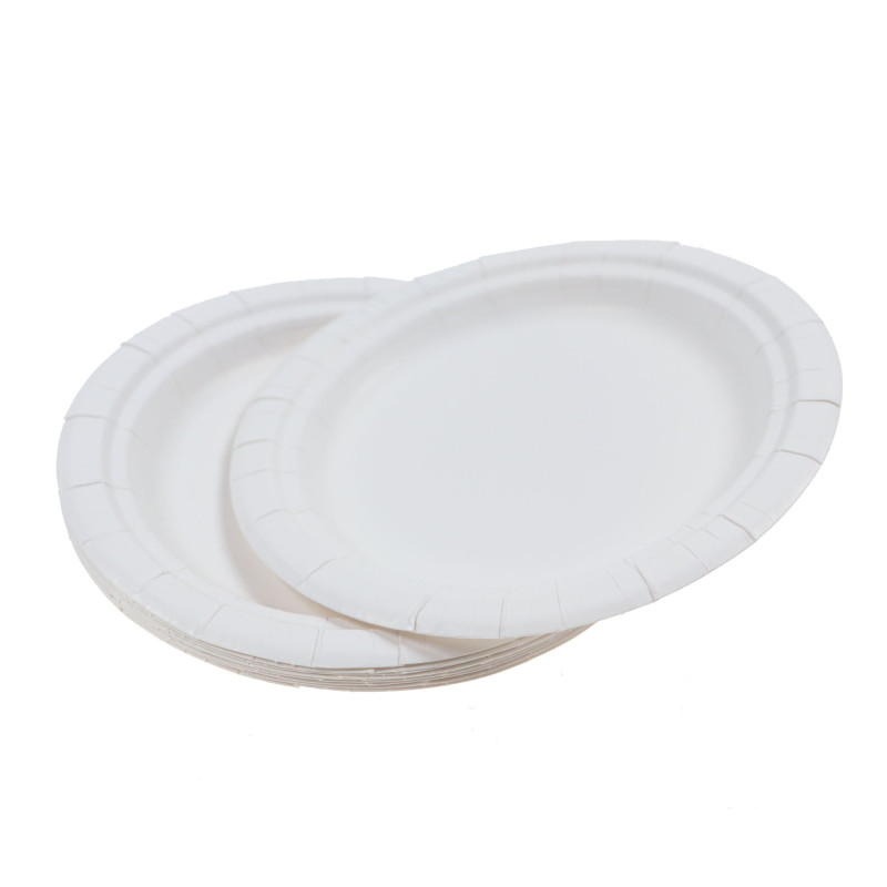 Farfurii rotunde din carton, nelaminate, albe, D 17 cm, set 10 bucati