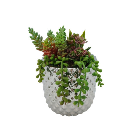 Aranjament flori artificiale AK0323283, plante suculente in ghiveci, plastic, verde, H 19 cm