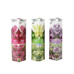 Arbust ornamental Liliac Syringa mix H 30-50 cm