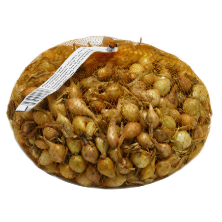 Arpagic galben Yurta, 8 - 14 mm, 450 g