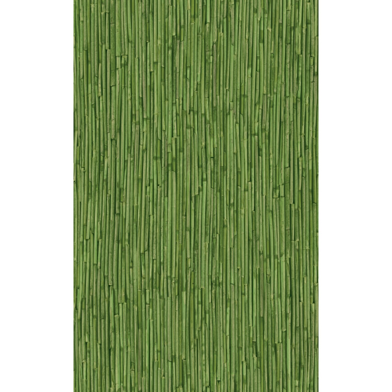 Autocolant decorativ Rustic 2803176, verde, 0.45 m