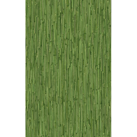 Autocolant decorativ Rustic 2803176, verde, 0.45 m