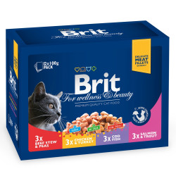 Hrana umeda pentru pisici, Brit Family Variety, adult, diverse arome, 12 x 100g