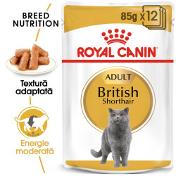 Hrana umeda pisica Royal Canin British Shorthair Adult, in sos, 85 g
