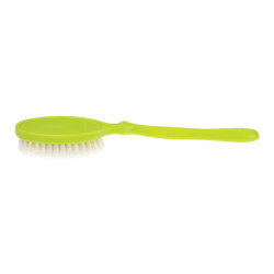 Perie de baie 0025, diverse culori, cu maner