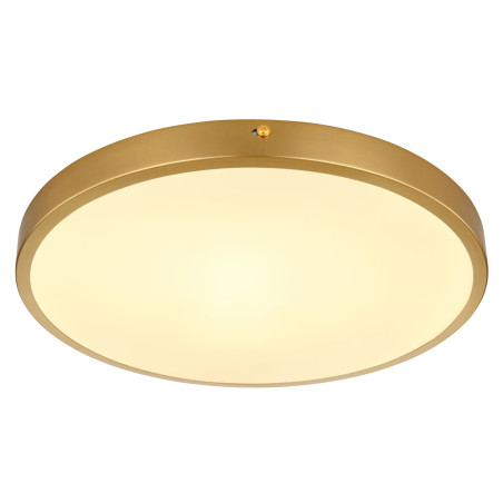Plafoniera LED Tibey 12381-22, 22W, 1800lm, lumina calda, alama + opal, moderna