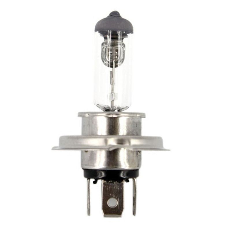 Bec auto halogen Carguard H4, BHA003, 55 W, 12 V