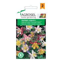 Seminte flori Agrosel, caldarusa