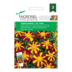 Seminte flori Agrosel, craite pitice, bicolor