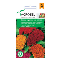 Seminte flori Agrosel, creasta cocosului