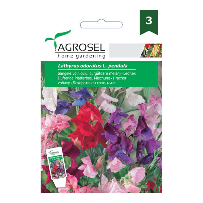 Seminte flori Agrosel, curgatoare, sangele voinicului