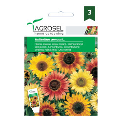 Seminte flori Agrosel, floarea-soarelui decorativa