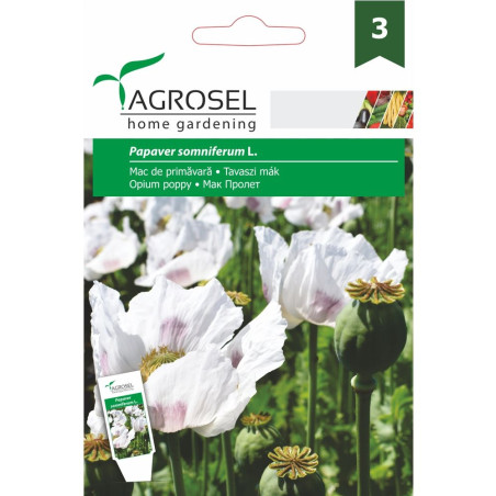 Seminte flori Agrosel, mac de primavara