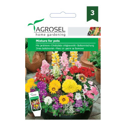 Seminte flori Agrosel, mix pentru jardiniere