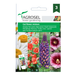 Seminte flori Agrosel, mix perene pentru taiat