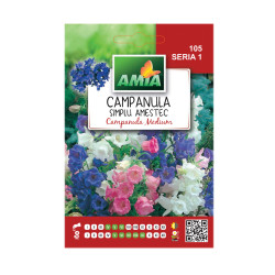 Seminte flori Amia - Campanula simplu, mix culori