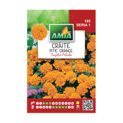 Seminte flori Amia - Craite petit, orange