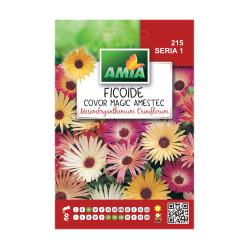 Seminte flori Amia - Ficoide covor magic, mix culori