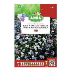 Seminte flori Amia - Floare de Nu-ma-uita, mix culori