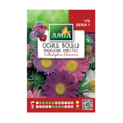Seminte flori Amia - Ochiul boului Madeleine, mix culori