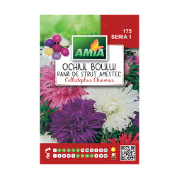 Seminte flori Amia - Ochiul boului, Pana de strut, mix culori