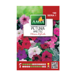 Seminte flori Amia - Petunia hibrid, mix culori