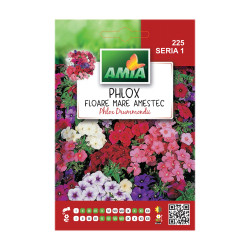 Seminte flori Amia - Phlox grand fleur, mix culori