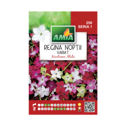 Seminte flori Amia - Regina noptii, mix culori