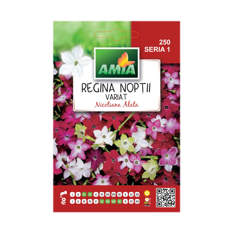 Seminte flori Amia - Regina noptii, mix culori