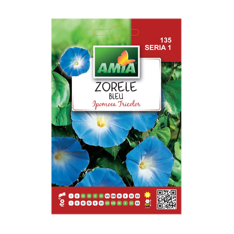 Seminte flori Amia - zorele, bleu