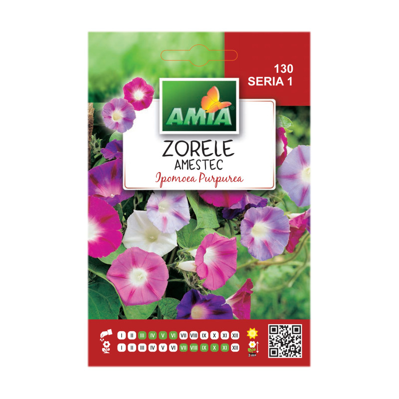 Seminte flori Amia - Zorele, mix culori
