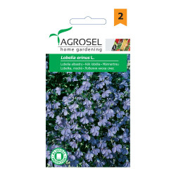 Seminte flori Lobelia, albastru AS-PG2