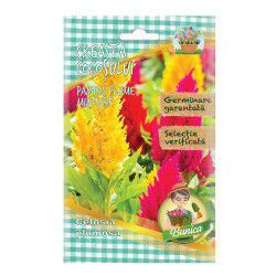 Seminte flori Micul Gradinar, creasta cocosului - Celosia plumosa