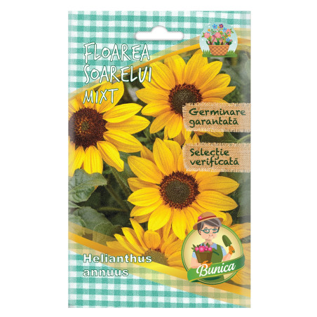 Seminte flori Micul Gradinar, floarea soarelui decorativa
