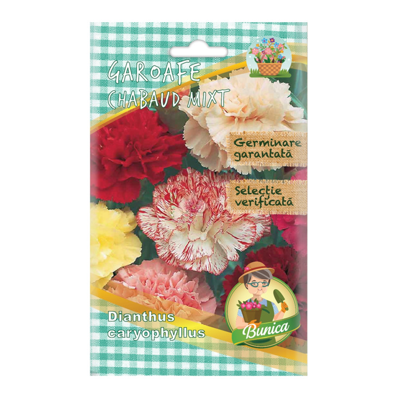 Seminte flori Micul Gradinar, garoafe de gradina