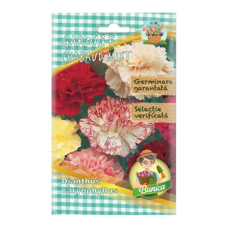 Seminte flori Micul Gradinar, garoafe de gradina