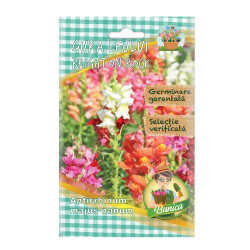 Seminte flori Micul Gradinar, gura leului, Antirrhinum majus nanum