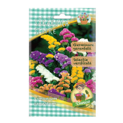 Seminte flori Micul Gradinar, sararuica, Limonium sinuatum