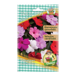 Seminte flori Micul Gradinar, sporul casei mixt, Impatiens balsamina