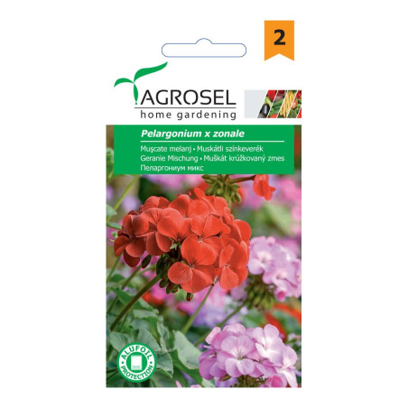 Seminte flori muscate mix AS-PG2