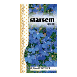Seminte flori Starasem, lobelia curgatoare, albastru