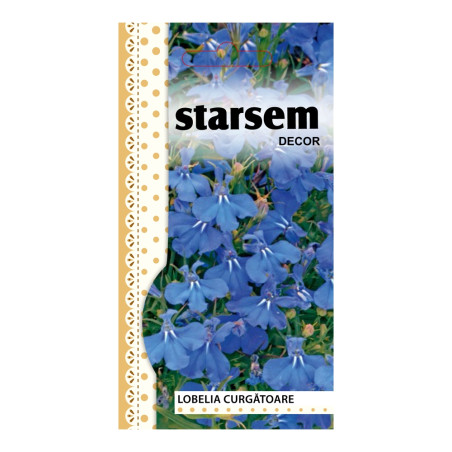 Seminte flori Starasem, lobelia curgatoare, albastru