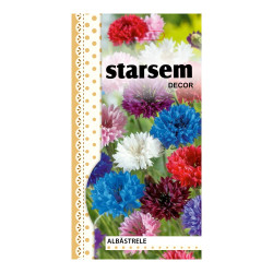 Seminte flori Starsem, albastrele