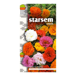 Seminte flori Starsem, flori de piatra, duble