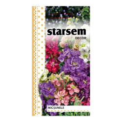 Seminte flori Starsem, micsunele duble