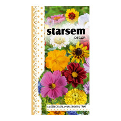Seminte flori Starsem, mix anuale pentru taiat