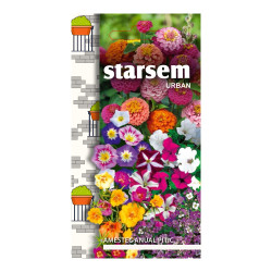 Seminte flori Starsem, mix anuale pitice