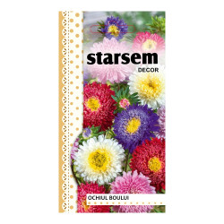 Seminte flori Starsem, ochiul boului