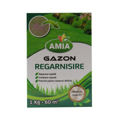Seminte gazon Amia, pentru regarnisire, 1 kg